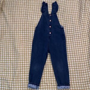 ZARA Jean Leopard Overalls